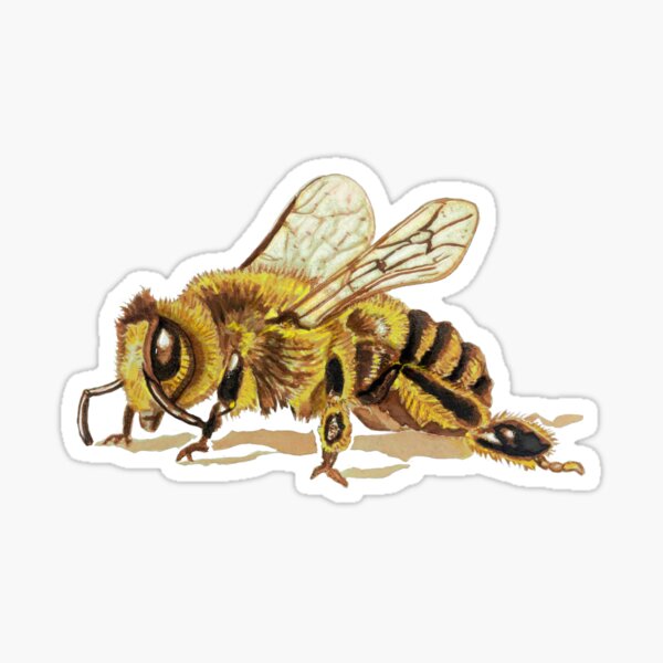 BugsNBees > Bee Gifts > Bumble Bee Pencil Top Eraser