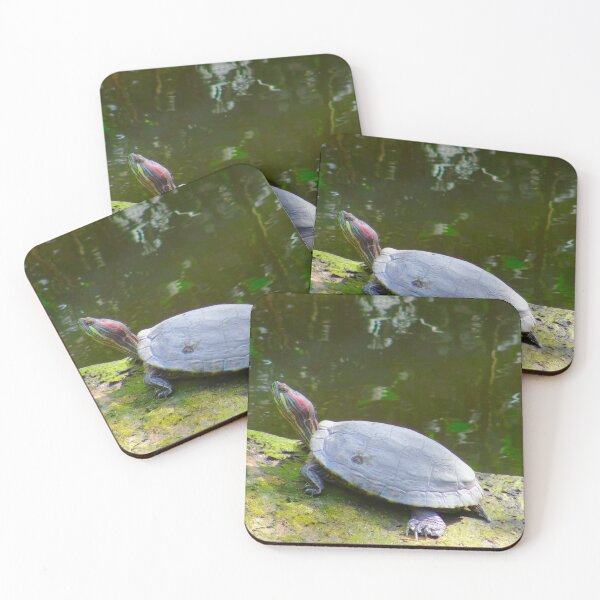 Item preview, Pond Slider basking in the Sun designed and sold by Mickangelhere.