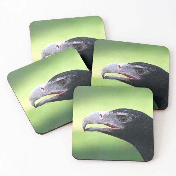 Item preview, Wedge Tail Portrait designed and sold by GP1746.
