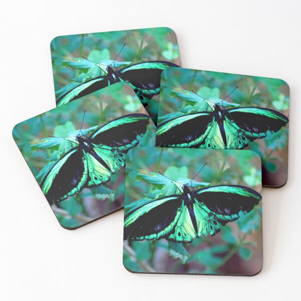 Item preview, Female Cairns Birdwing designed and sold by GP1746.