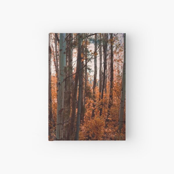 8. Threa Hardcover Journal