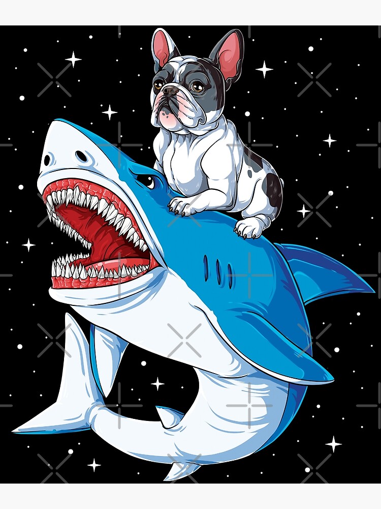 bulldog dressed as shark