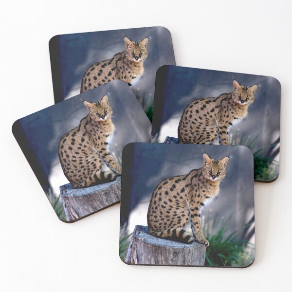 Item preview, Serval Posing designed and sold by GP1746.