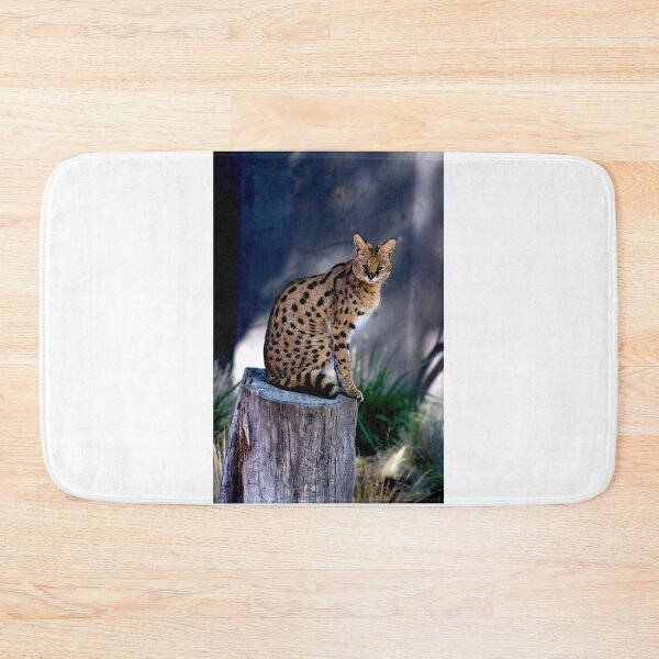 Item preview, Serval Posing designed and sold by GP1746.