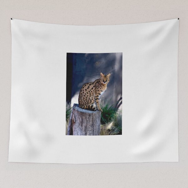 Item preview, Serval Posing designed and sold by GP1746.