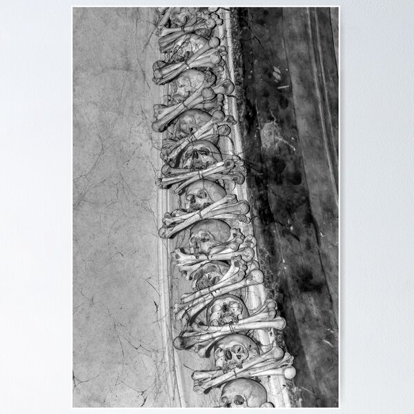 Item preview, Human bones. designed and sold by FER737NG.