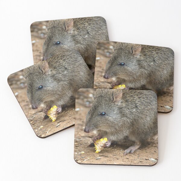 Item preview, A Potoroo Finds A Treat designed and sold by GP1746.