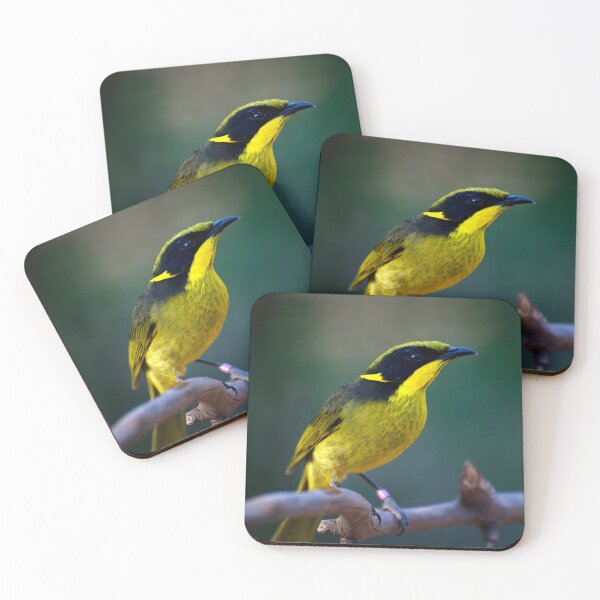 Item preview, Helmeted Honeyeater designed and sold by GP1746.