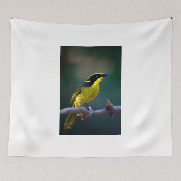 Item preview, Helmeted Honeyeater designed and sold by GP1746.