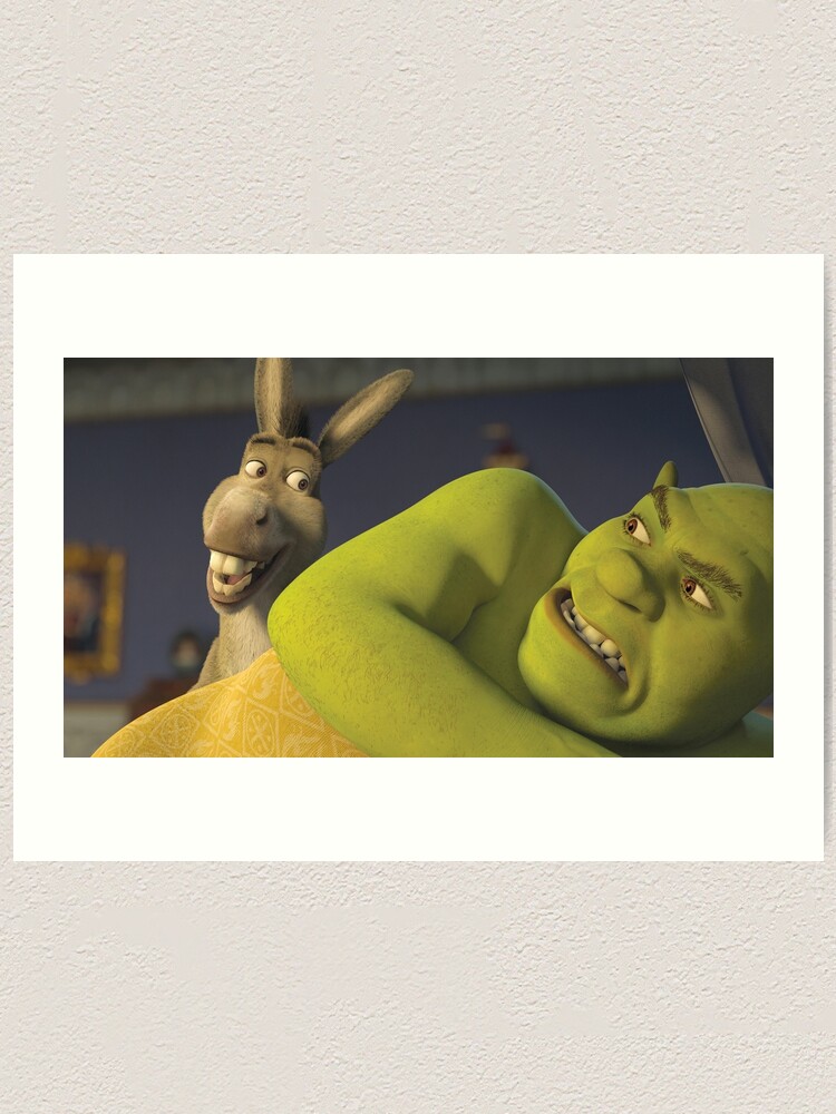 Shrek And Donkey Meme Canvas Prints for Sale