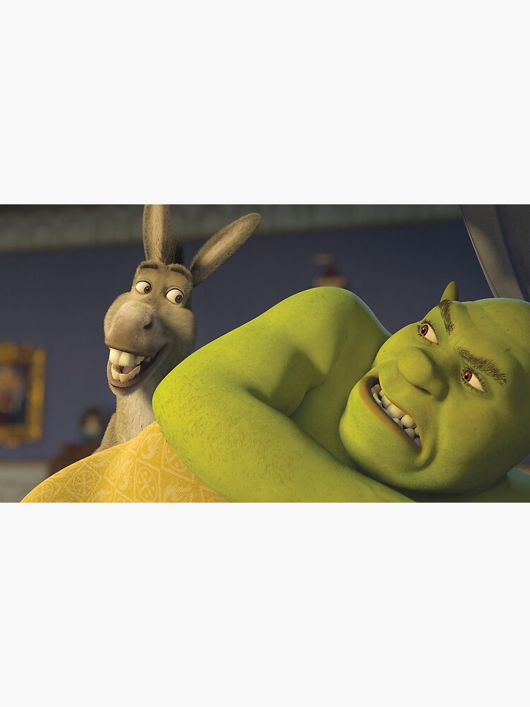 Momolopolis - Ahora son sexis 🐂🐮 #memes #burro Shrek 𝑺𝑯𝑹𝑬𝑲 Shrek 3  burro!!