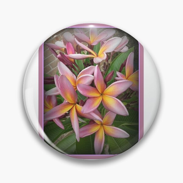 Artikelvorschau,  FRANGIPANI TRAUM entworfen und verkauft von Opalbluerose.