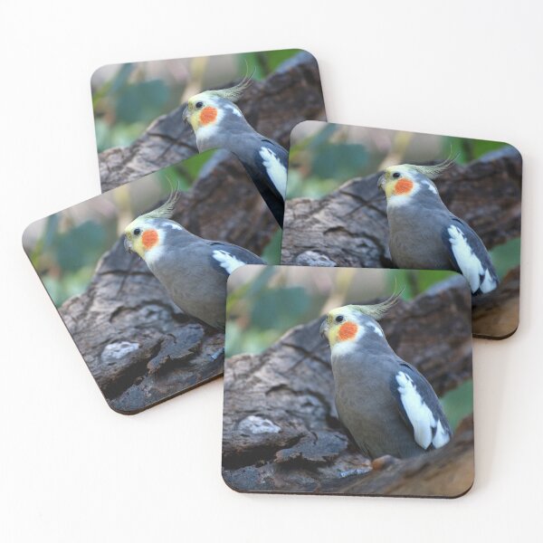 Item preview, Cockatiel designed and sold by GP1746.