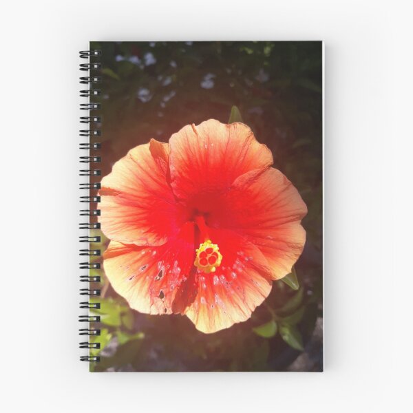 Item preview, Hibiscus flower designed and sold by Chisai Tori.