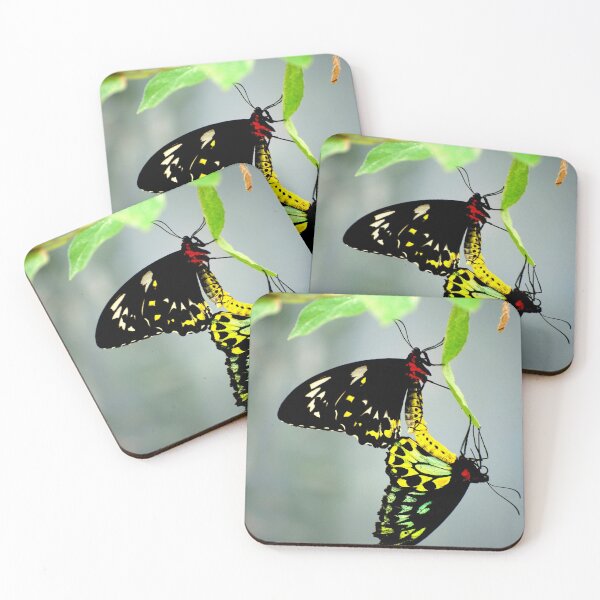 Item preview, Mating Cairns Birdwings designed and sold by GP1746.