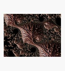 Chocolate Alien Landscape Photographic Print