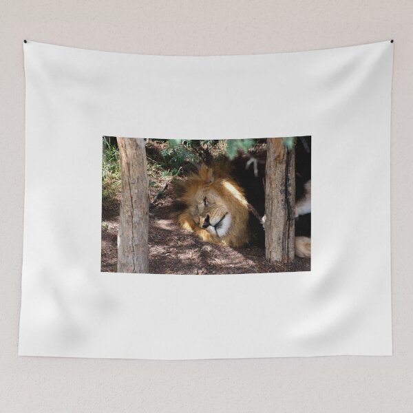 Item preview, Lion After Lunch Nap designed and sold by GP1746.