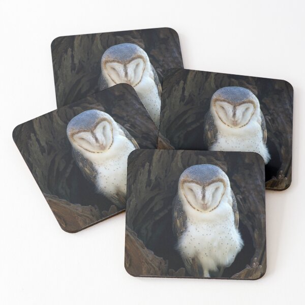 Item preview, Sleeping Barn Owl designed and sold by GP1746.