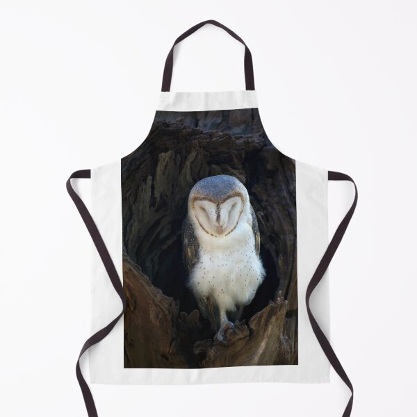 Item preview, Sleeping Barn Owl designed and sold by GP1746.