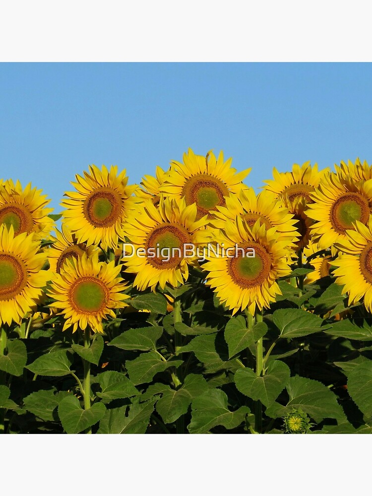 Discover Happy Flower Premium Matte Vertical Poster
