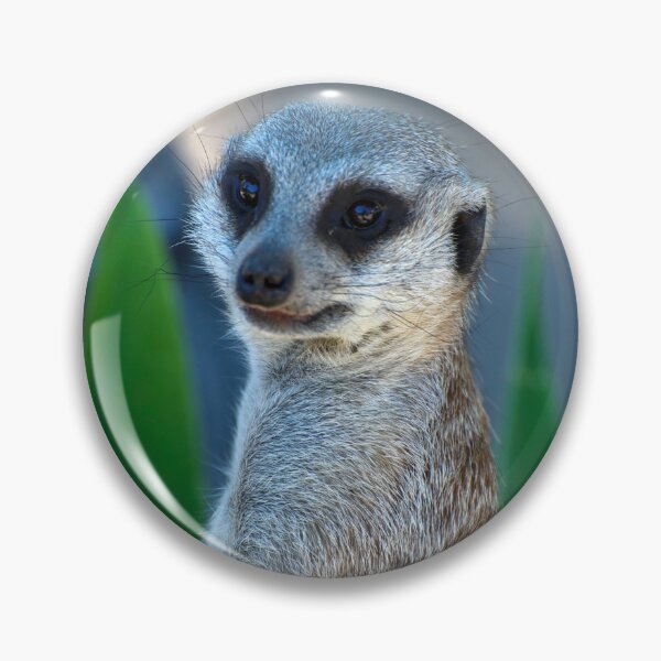 Item preview, Hello I'm A Meerkat designed and sold by GP1746.