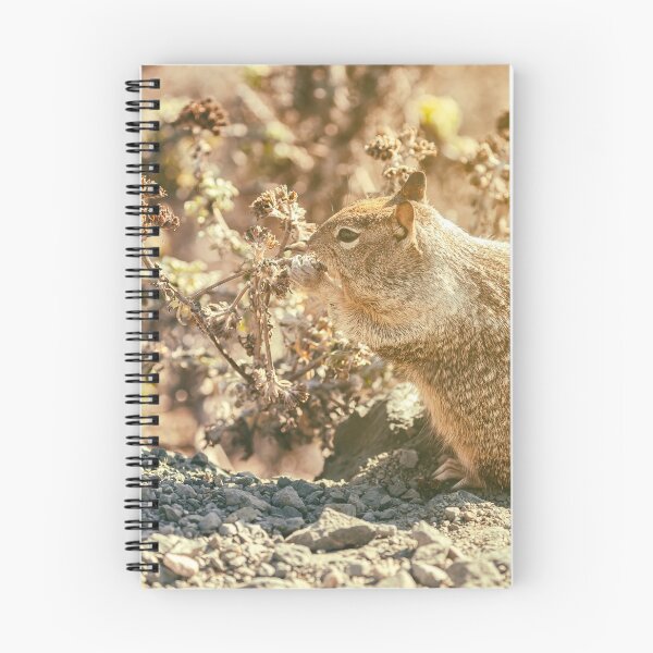 Item preview, snacking designed and sold by jvnimages.