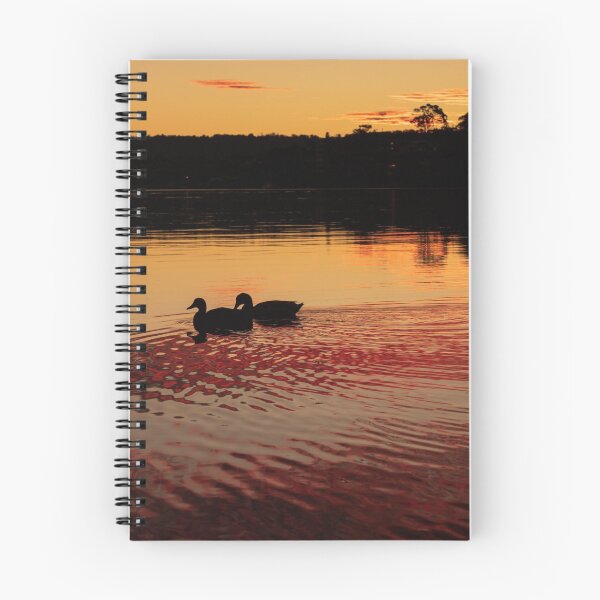 Item preview, Ducks at Sunset Green Point NSW Central Coast of Australia 8 designed and sold by suziq1962.