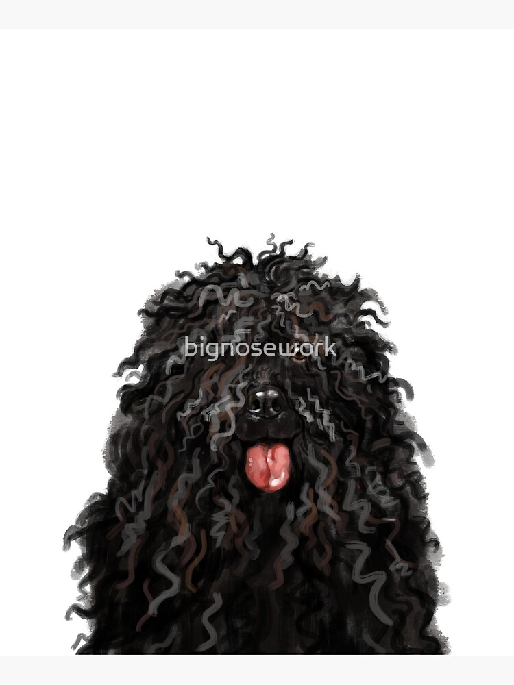 Black Puli Dog by bignosework