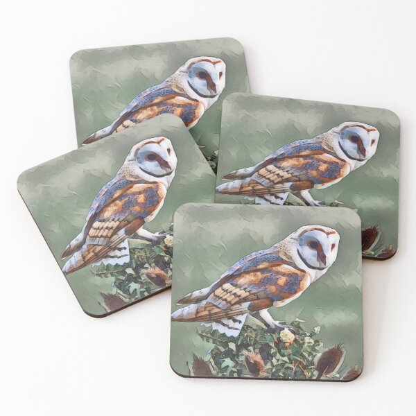 Item preview, Barn Owl designed and sold by Heathermarie321.