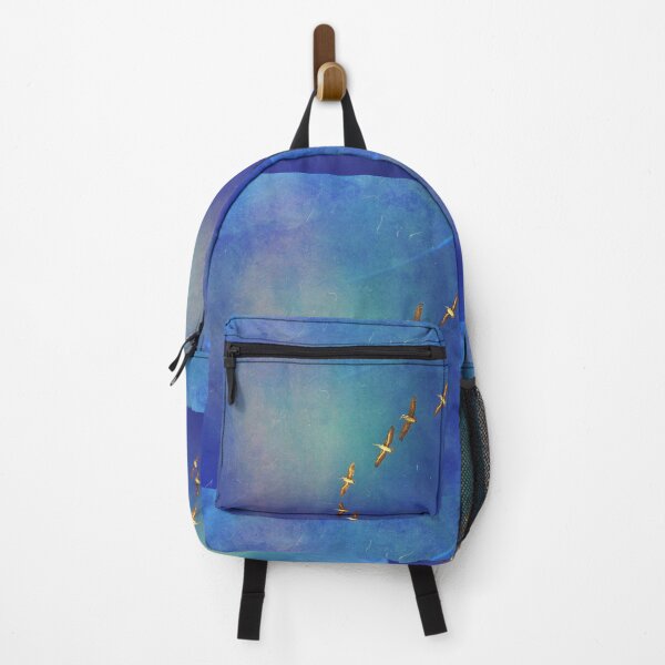 Soar higher Backpack