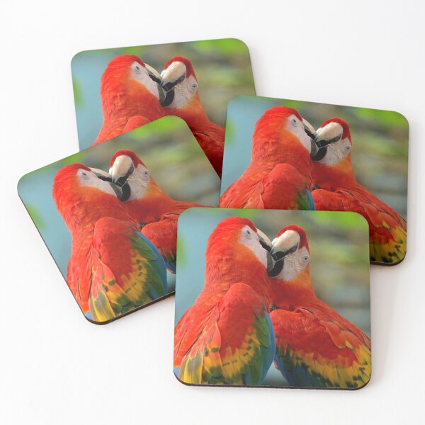 Item preview, Mixed Color Macaw Pairs designed and sold by yassinehelal.