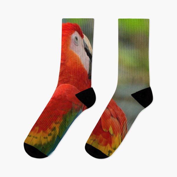 Item preview, Mixed Color Macaw Pairs designed and sold by yassinehelal.