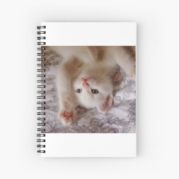 "you can take my picture now" Spiral Notebook