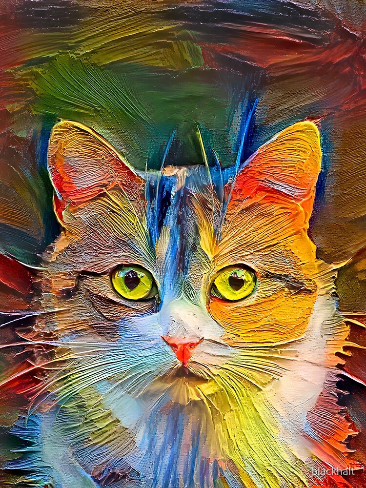 Abstractions of abstract cat by blackhalt