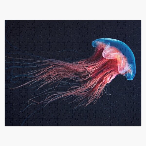 #Jellyfish #bioluminescence #invertebrate #underwater  science biology fish aquarium swimming Jigsaw Puzzle
