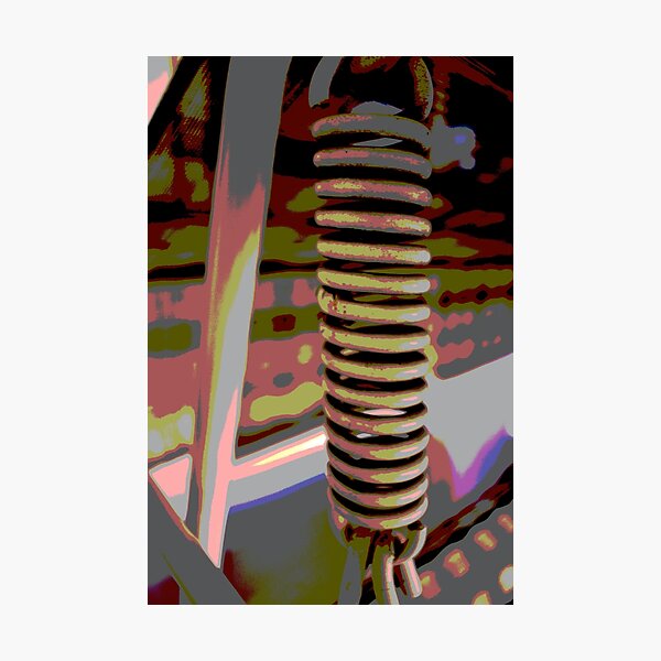 Sprung Photographic Print