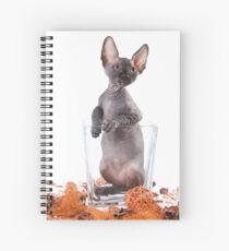 Charming kitty cat sphynx without hair Spiral Notebook