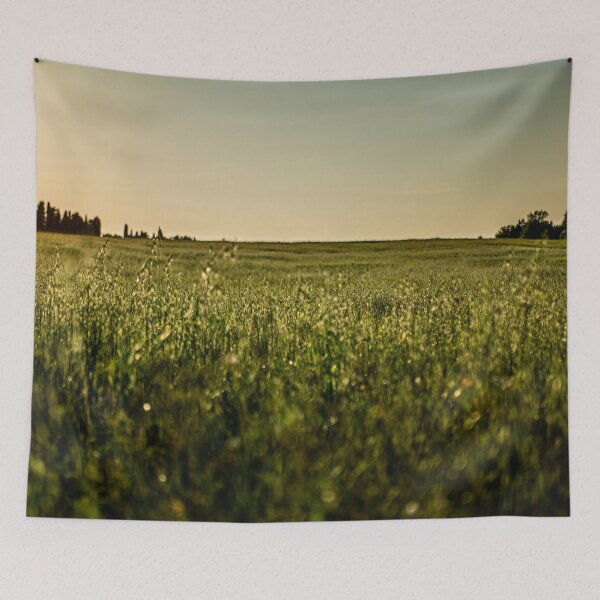 Item preview, Sunset on countryside designed and sold by Tadis Graphics.