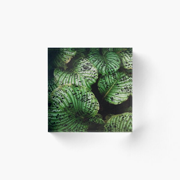 Item preview, Leaves designed and sold by Scherzo09.