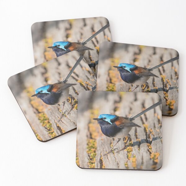 Item preview, Red-winged Fairy-wren designed and sold by Peter Caddy.