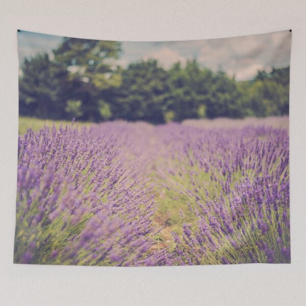 Item preview, Lavanda field designed and sold by Tadis Graphics.