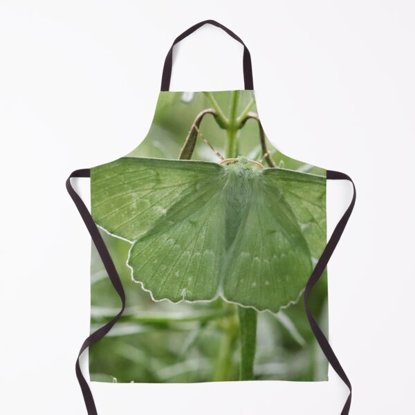 Item preview, A Happy Encounter designed and sold by cuprum.
