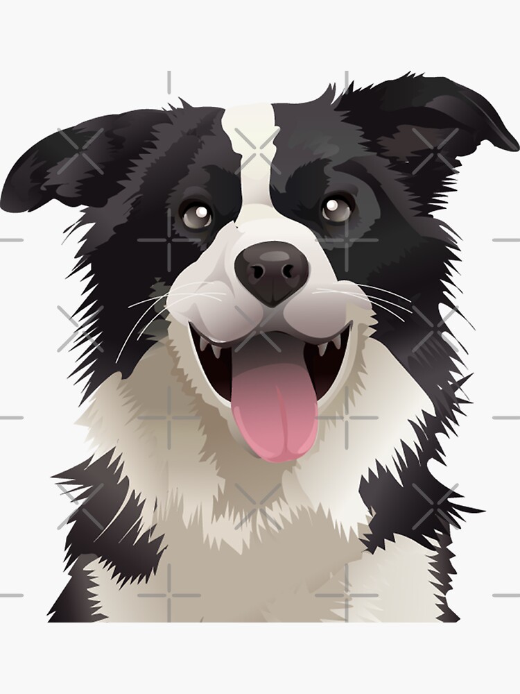 “Collie Border” Sticker for Sale by Ashqar Store1 | Redbubble