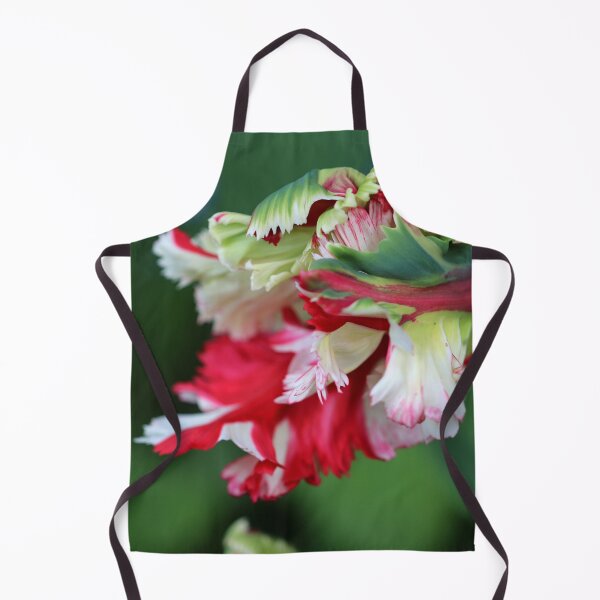 Item preview, Untidy Parrot designed and sold by cuprum.