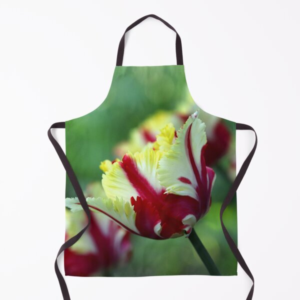 Item preview, Flamboyant designed and sold by cuprum.