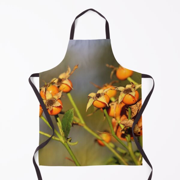 Item preview, Rose Hips in Autumn designed and sold by cuprum.