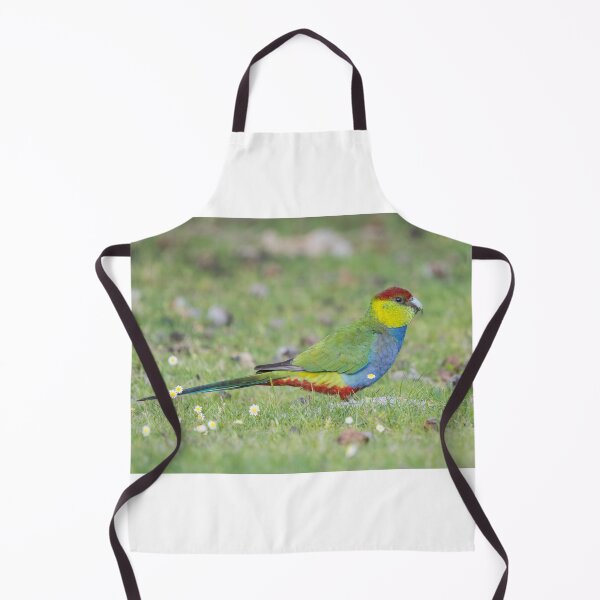 Artikelvorschau, Papagei mit roter Kappe unter den Gänseblümchen entworfen und verkauft von Peter Caddy.