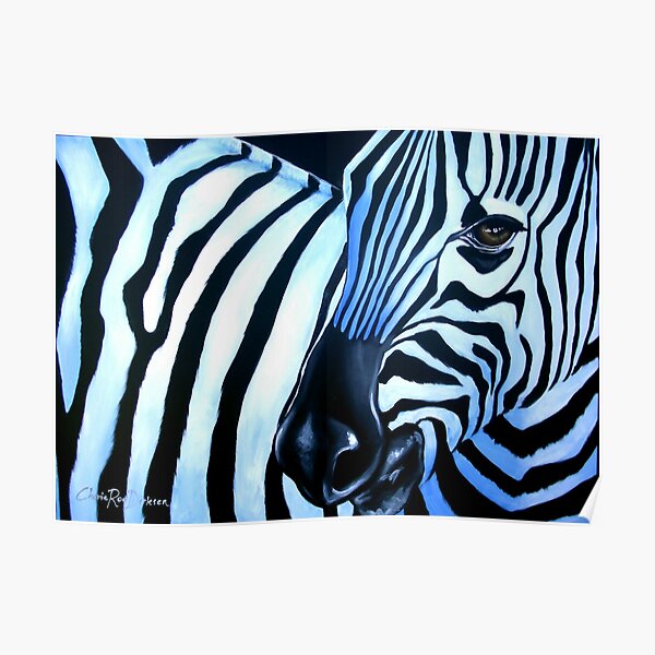 That Zebra Look Poster
