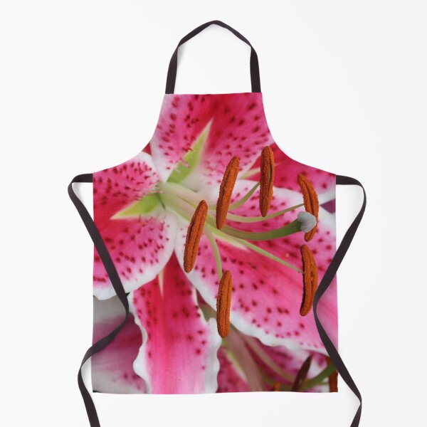 Item preview, Stargazer designed and sold by cuprum.