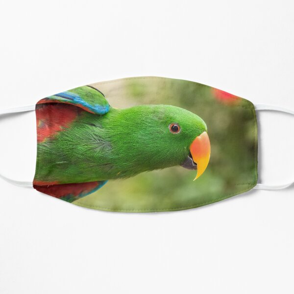 Eclectus Parrot acting the fool Mask